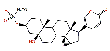 Marinobufagin 3-sulfate